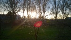 WP_20150328_005