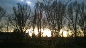 WP_20150328_009